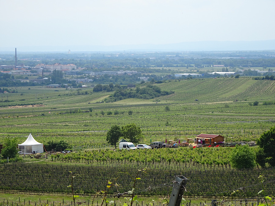 Im Hingrund Traiskirchen und Baden